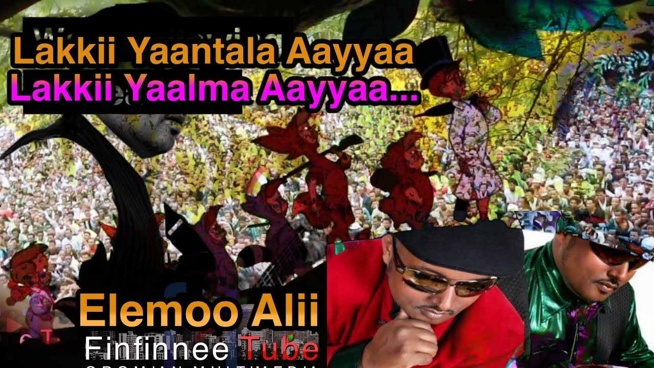 Elemo Ali: Lakkii intalaayyaa/ilmaayyaa ***New Oromo Music***