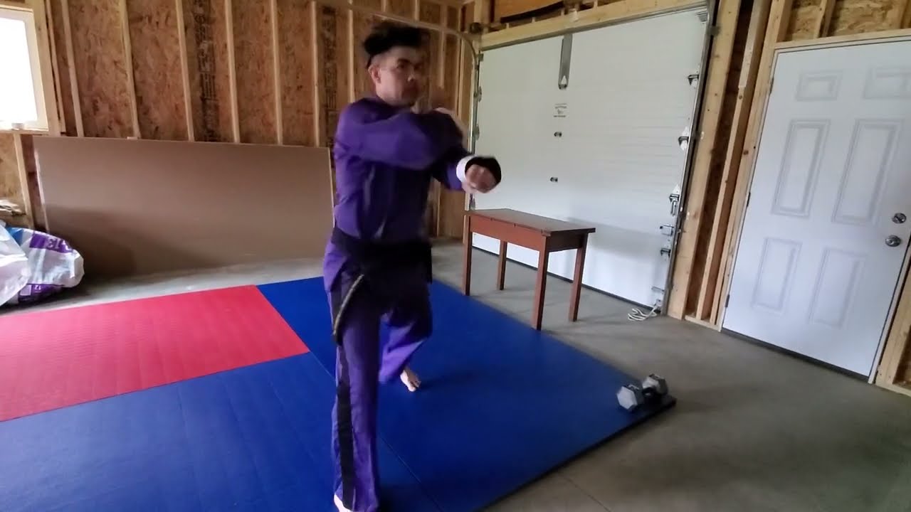 Home Gym. Karate Practice.