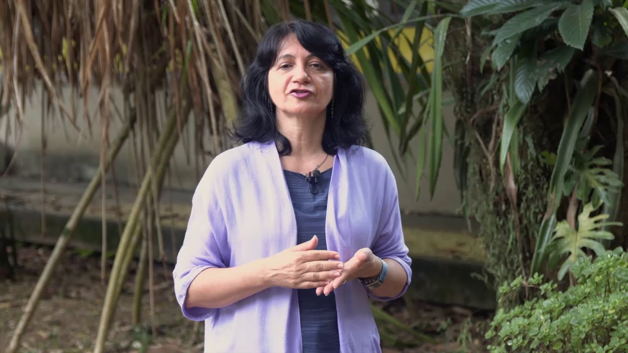 Poluentes Orgânicos Persistentes na Antártica: o que são POPs? - Rosalinda Montone - Antártica ou An