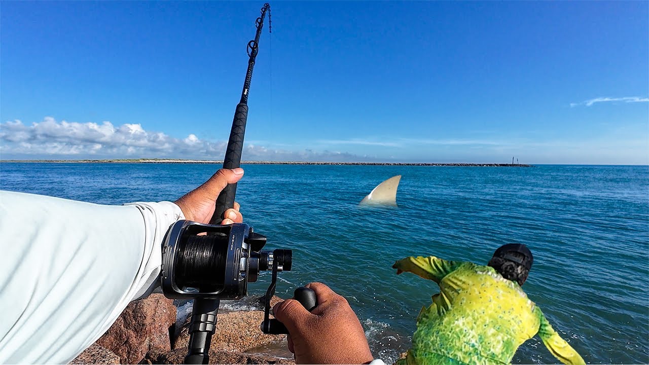 Didn't Think I'd land This Beast on the Jetty! Jetty Fishing South Padre