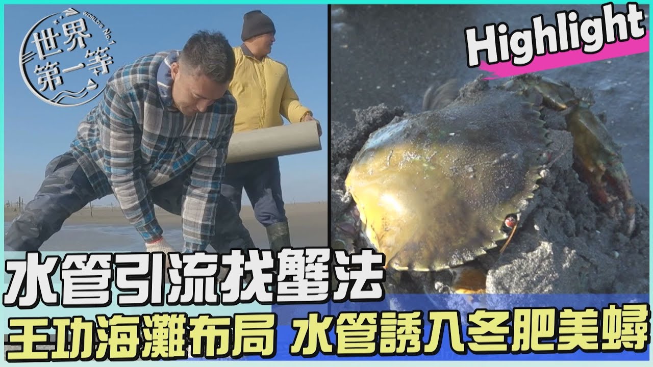【彰化】王功海灘潮溝布陣 達人水管抓蟹法（月子餐 豬網油包蟹）｜《世界第一等》1091集 Highlight 精彩搶先看