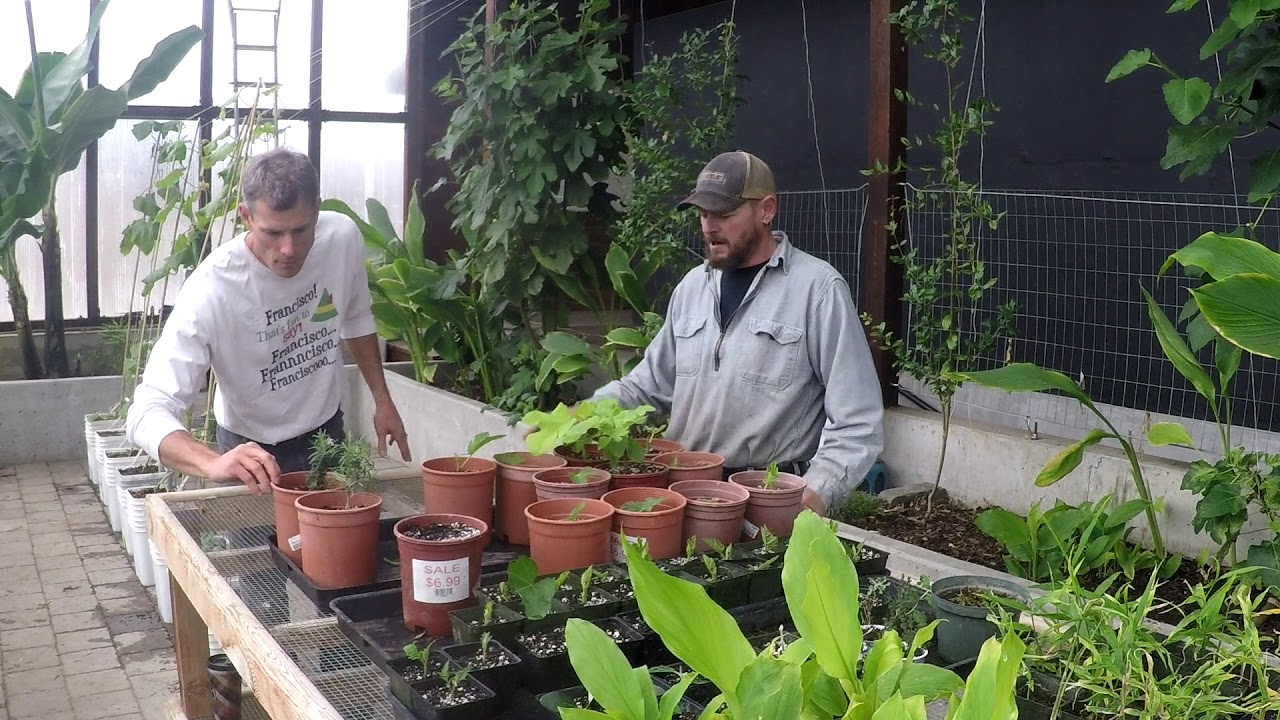 Montana Greenhouse Update: ABC acres - episode #159