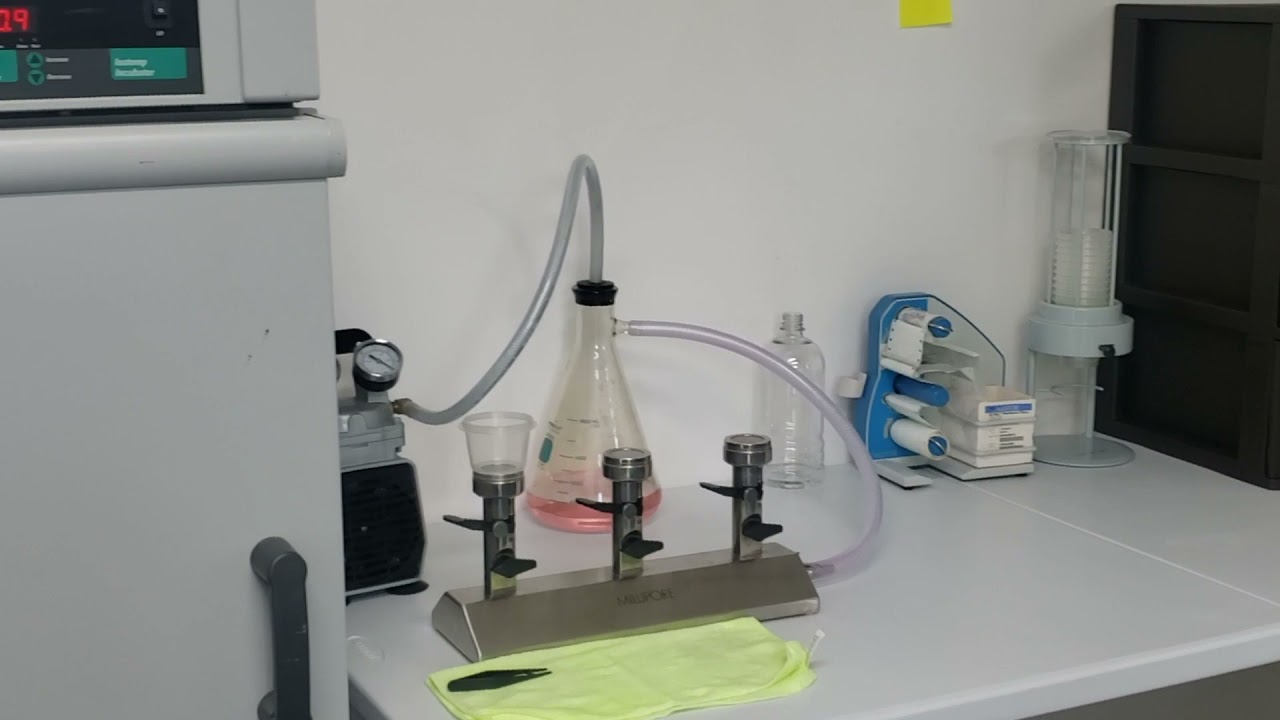 GREENE CONCEPTS Beverage & Bottling Plant Tour Spring 2021