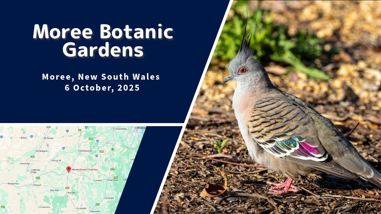 Moree Botanic Garden, Moree, NSW