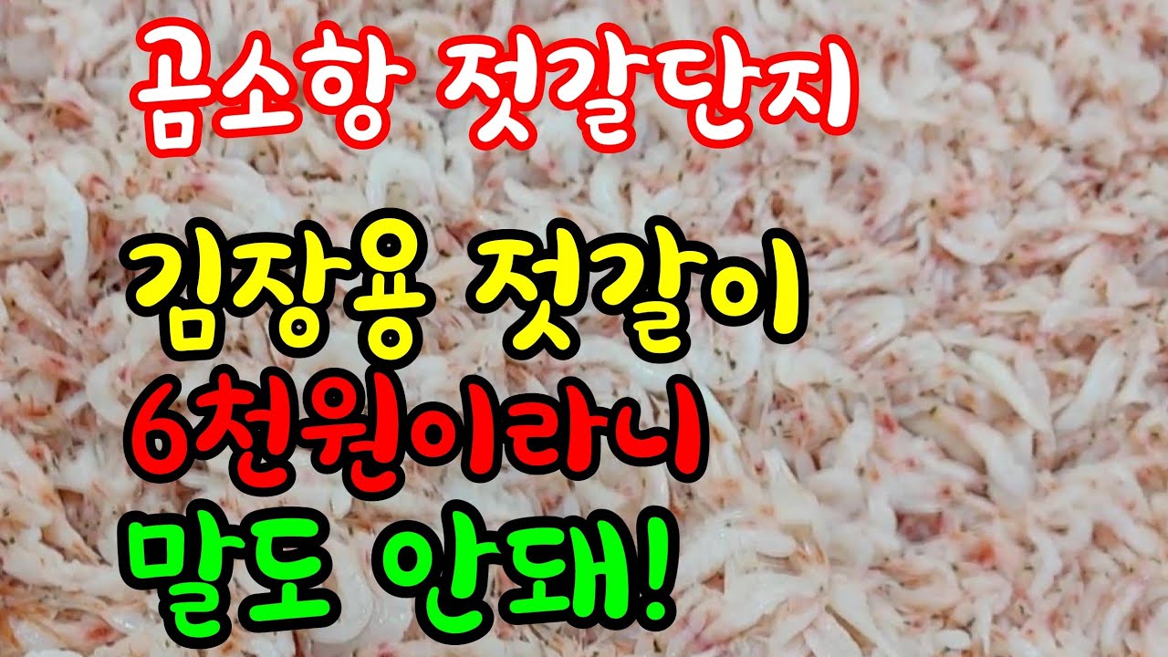 올해는 젓갈이 엄청 저렴하니 맛있는 젓갈 많이 애용하세요