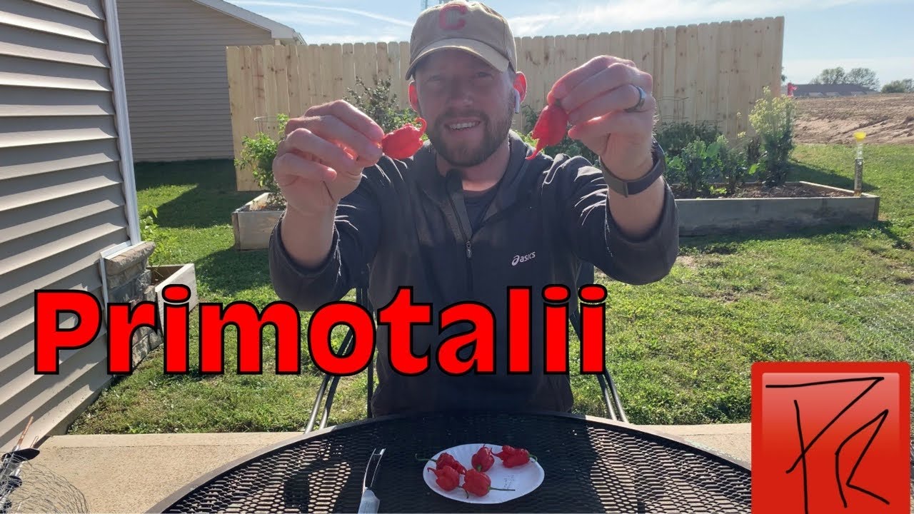 Primotalii Pepper Review