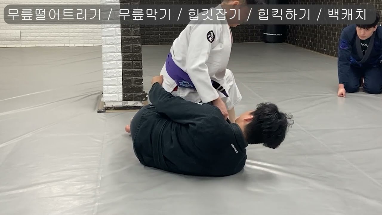 QnA - 발목하프가드에서 리버스하프로 넘어가거나 크로스목깃 잡을 때는 어떻게 하나요 ?【주짓수】【Jay DY】