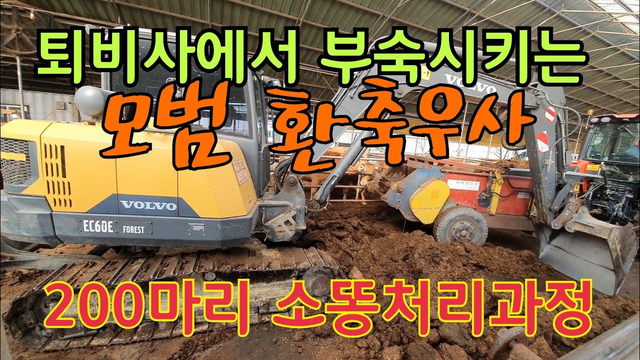 소똥치우기🐂여장부일등공신&축산농가 장비발