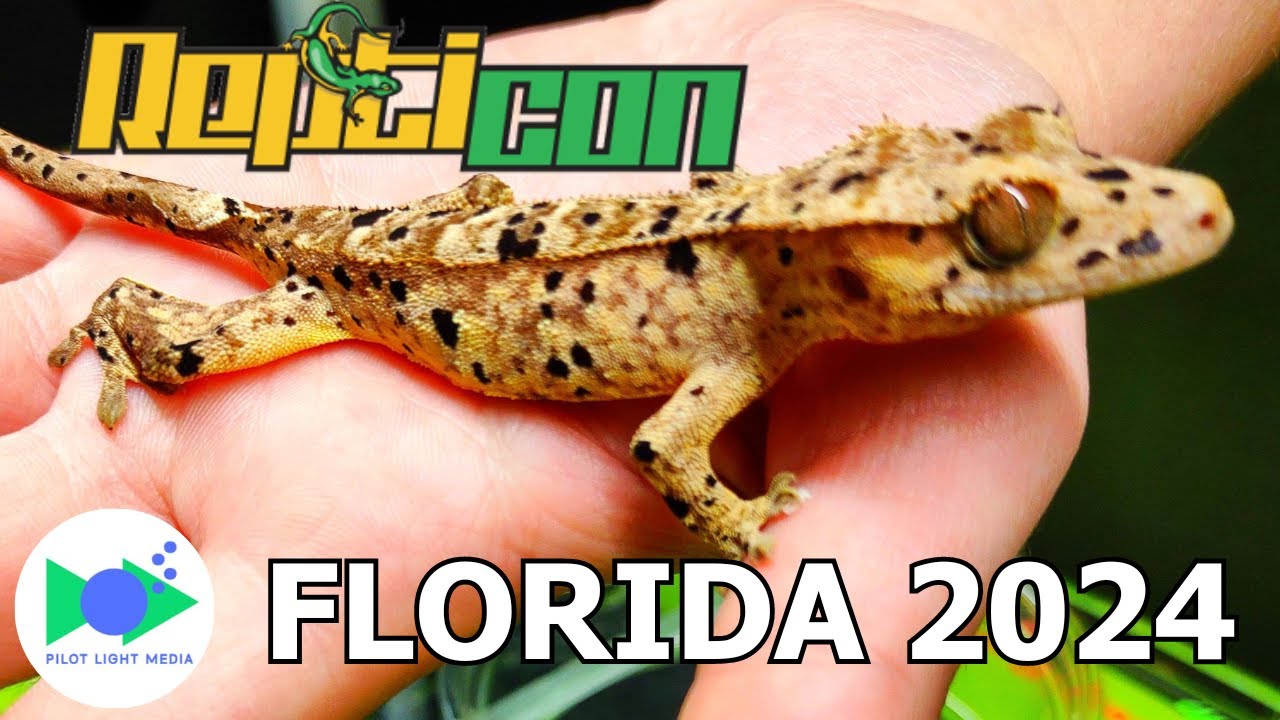 BEST OF REPTICON - Jacksonville, Florida Spring 2024