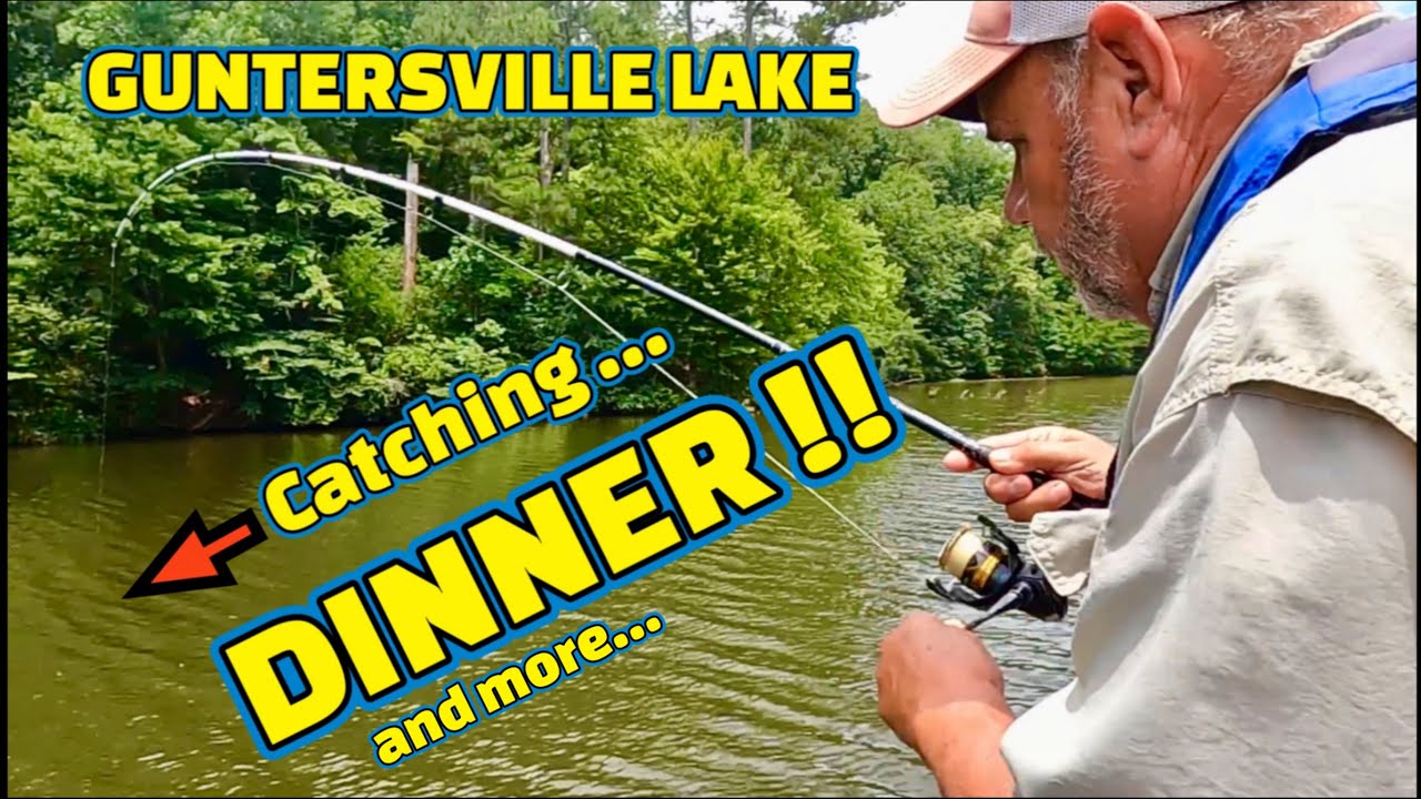 Fishing for DINNER in GUNTERSVILLE LAKE on the TENNESSEE RIVER !!
