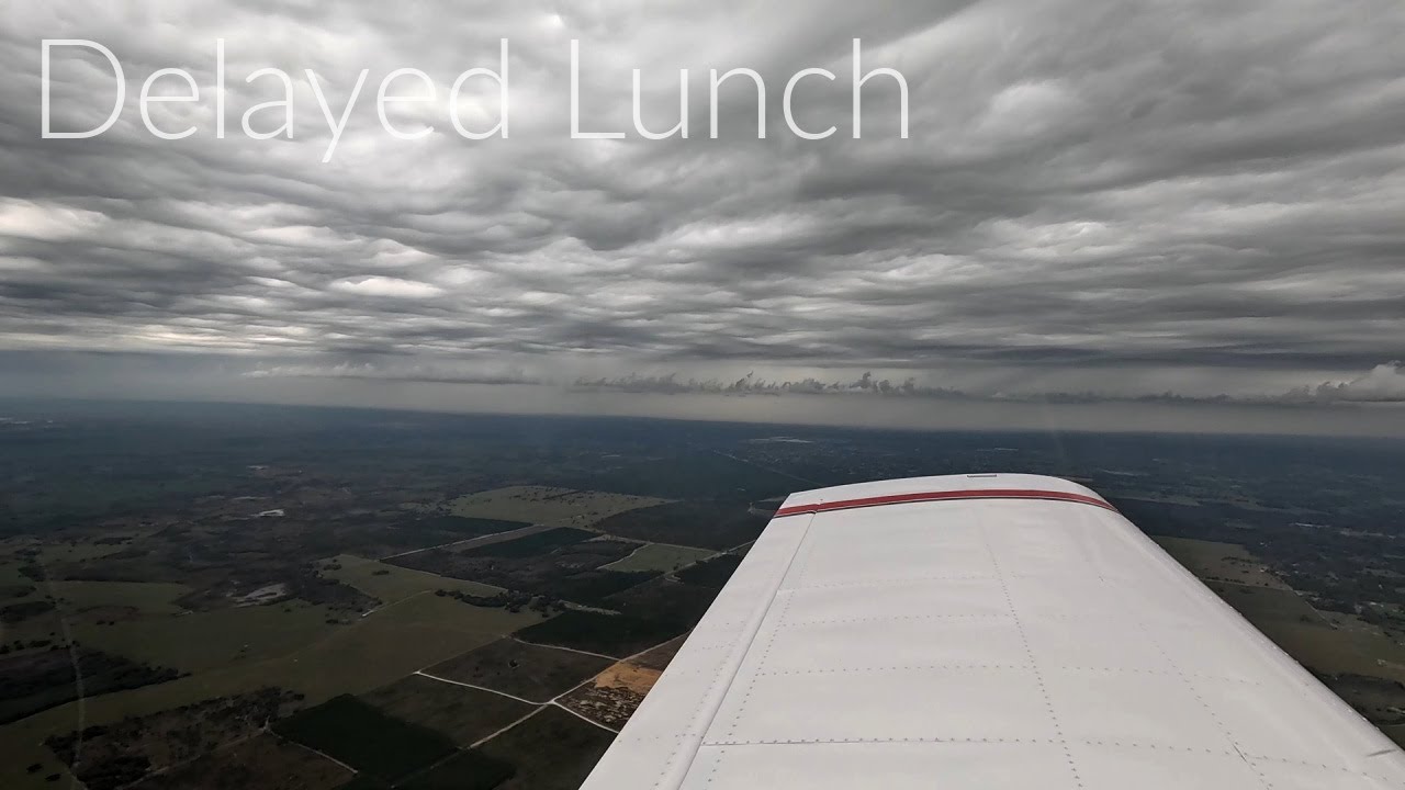 Lunch didn't go as planned!  | Crystal River