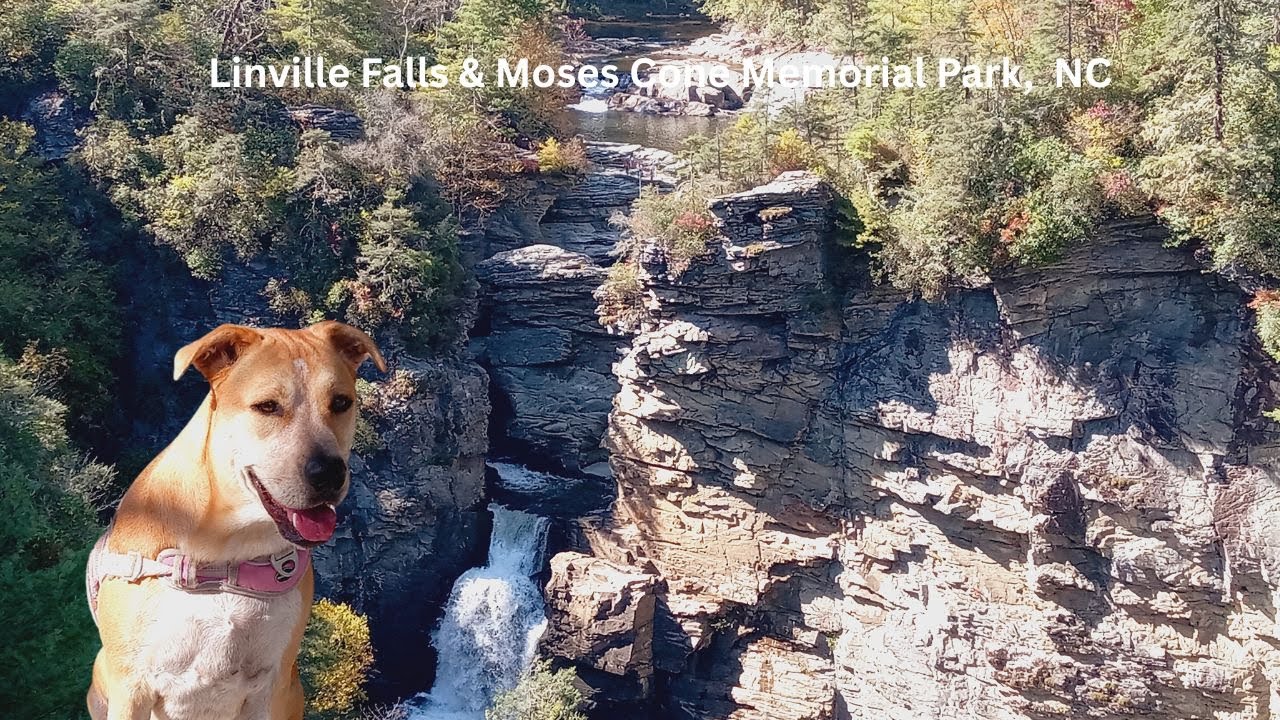 A Hike At Moses H. Cone Park and the Waterfalls At Linville Falls, NC