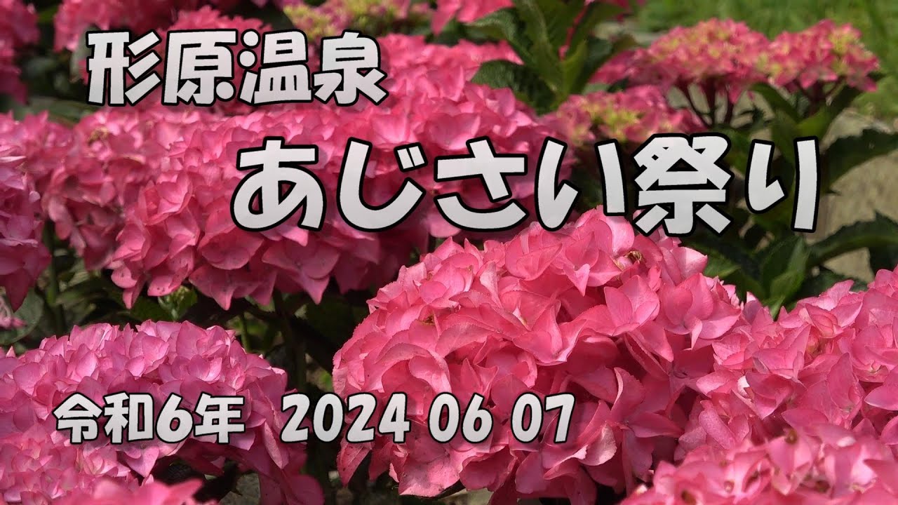 形原温泉あじさいの里　令和６年　2024 06 07   愛知県蒲郡市
