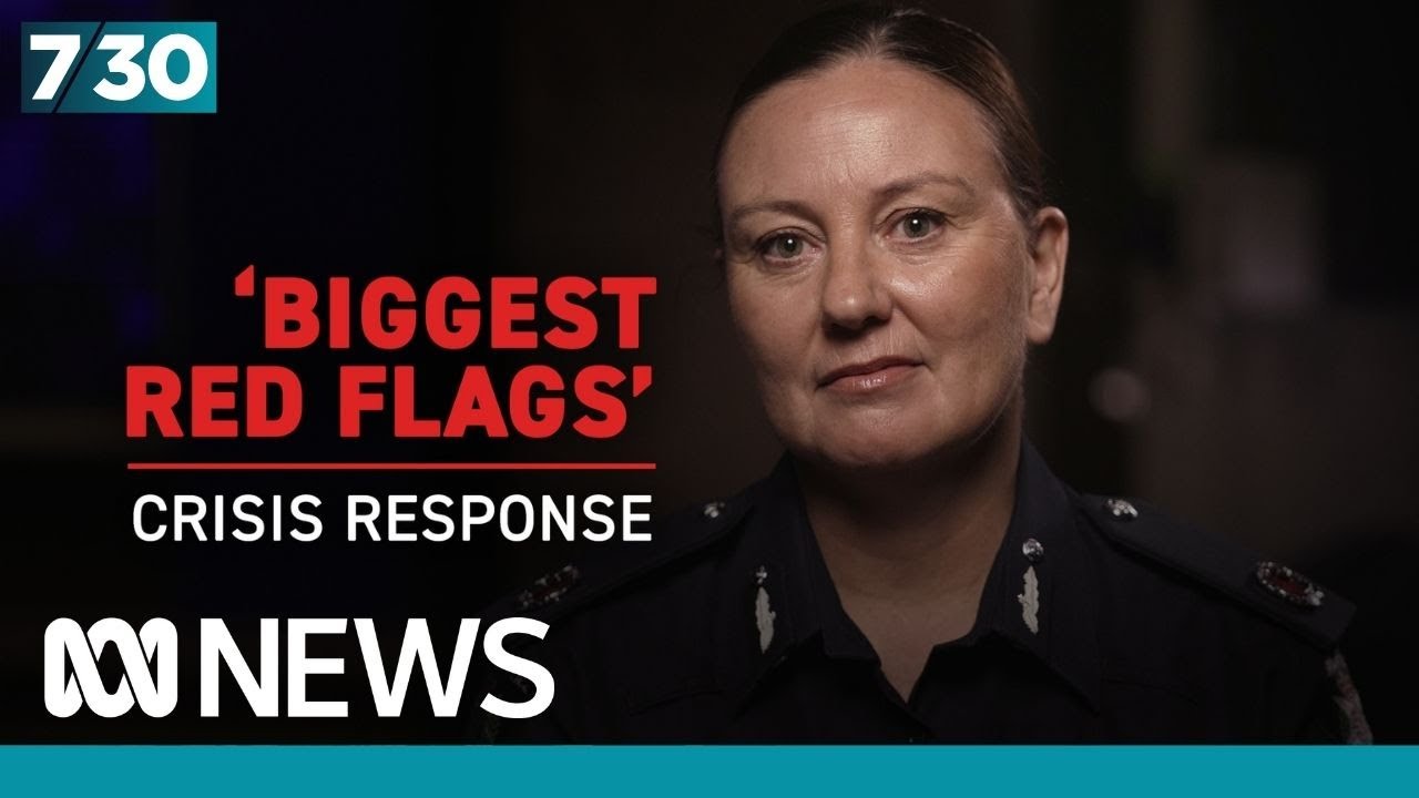 Victoria Police assistant commissioner on responding to the domestic violence crisis | 7.30