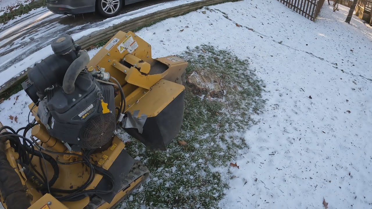 Grinding a Small Pine Stump