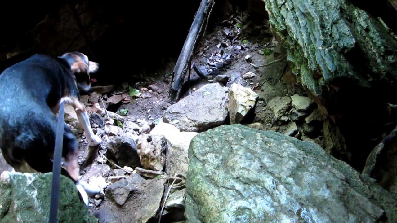 Milo gets brave enough to explore Devil's Icebox