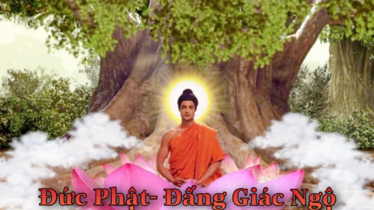T&Oacute;M TẮT PHIM: Đức Phật - Đấng Gi&aacute;c Ngộ (full)