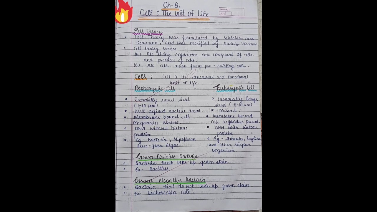 Biology class 11 | Ch - Cell-The unit of life 🧬 || Notes #notes_making #biology