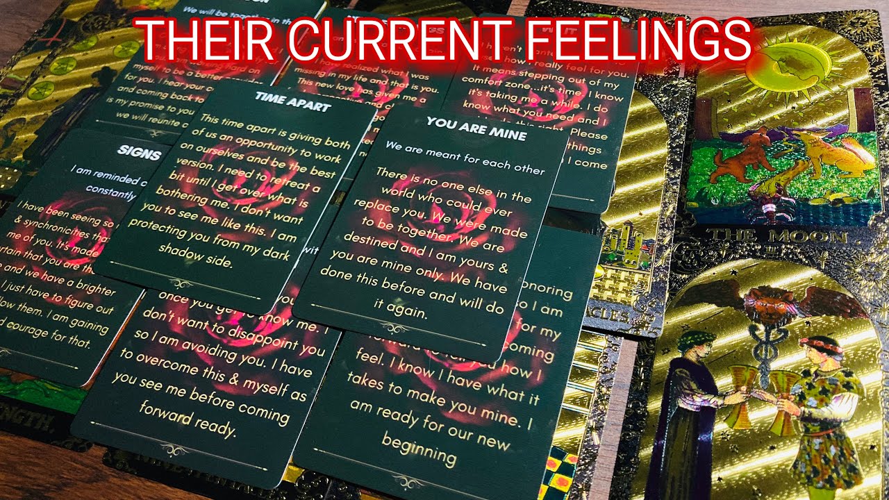 Hindi-Urdu ❤️❤️🌹 Their Current Feelings For You  🌹❤️❤️ Timeless Tarot ❤️❤️