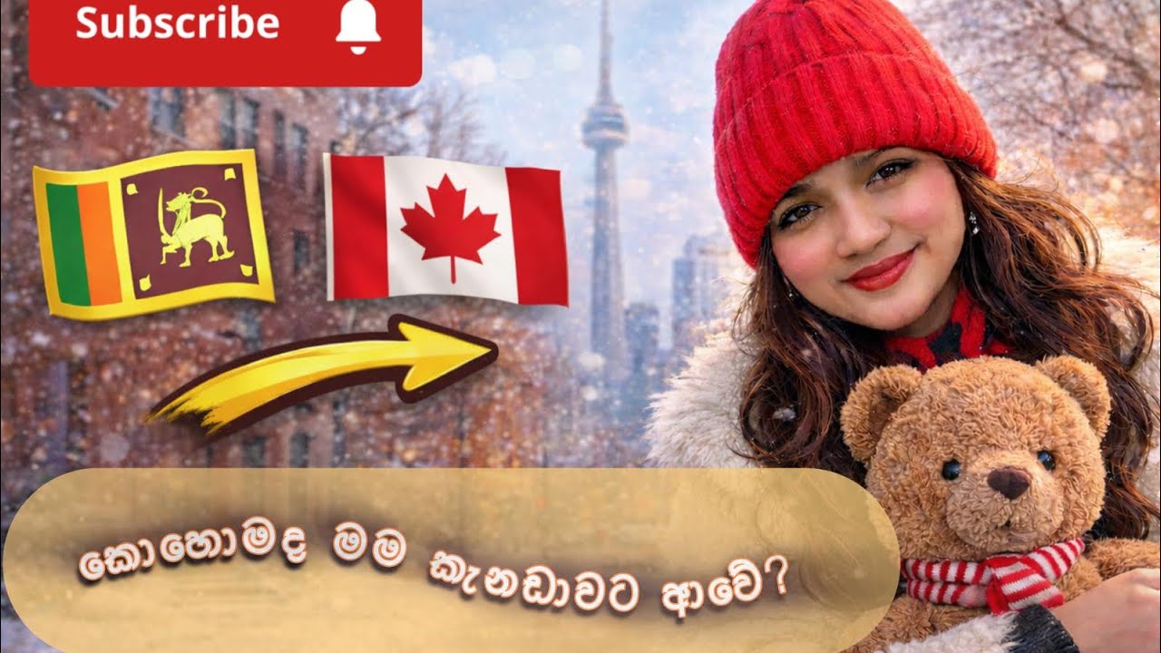 කැනඩාවට යන්න මම ගත්ත ලොකු තීරණය 🇱🇰➡️🇨🇦 | My Canada Journey