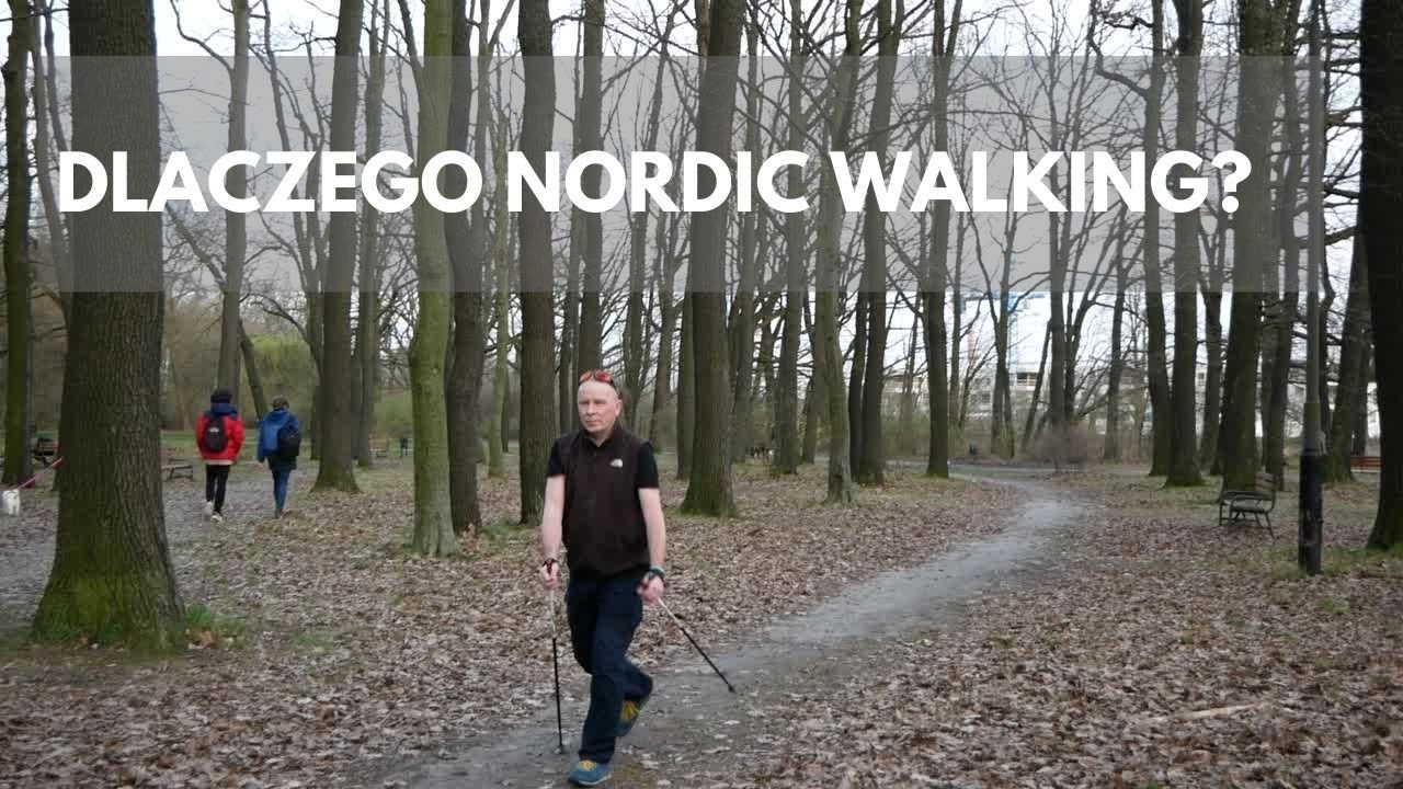 Dlaczego nordic walking? Szkolenie w Łodzi