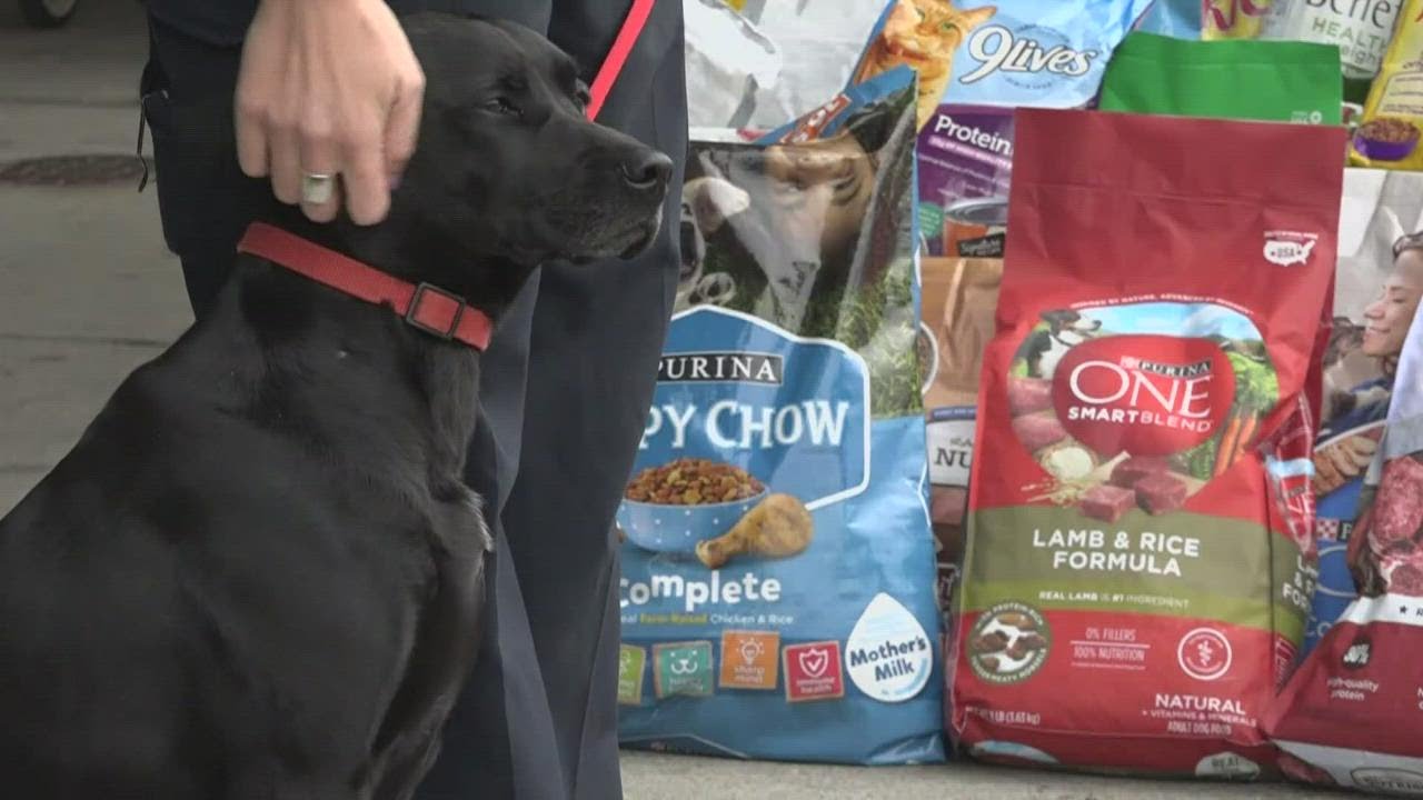 Bangor Police Department hosts pet food drive