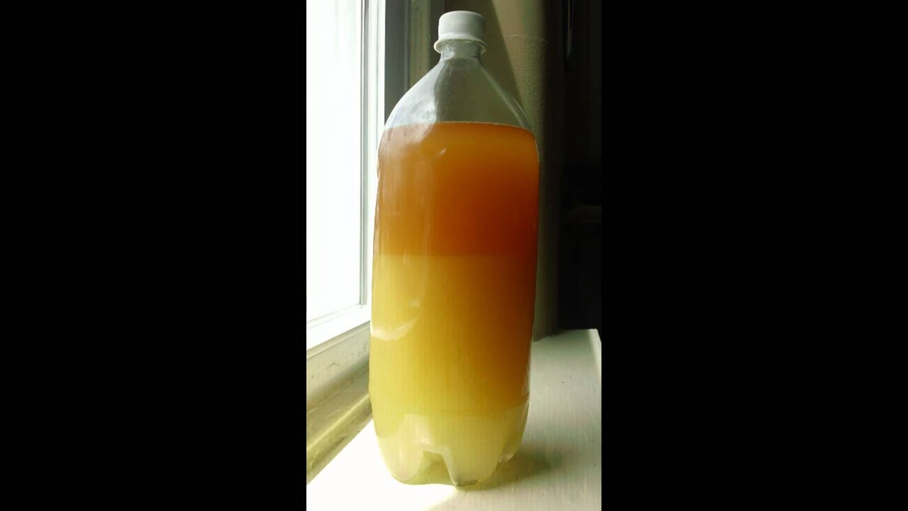 Biodiesel water wash separation