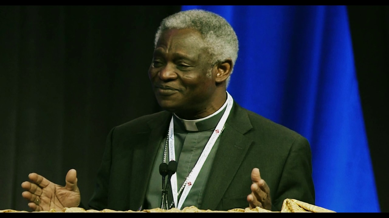Cardinal Turkson Address to Congress XII
