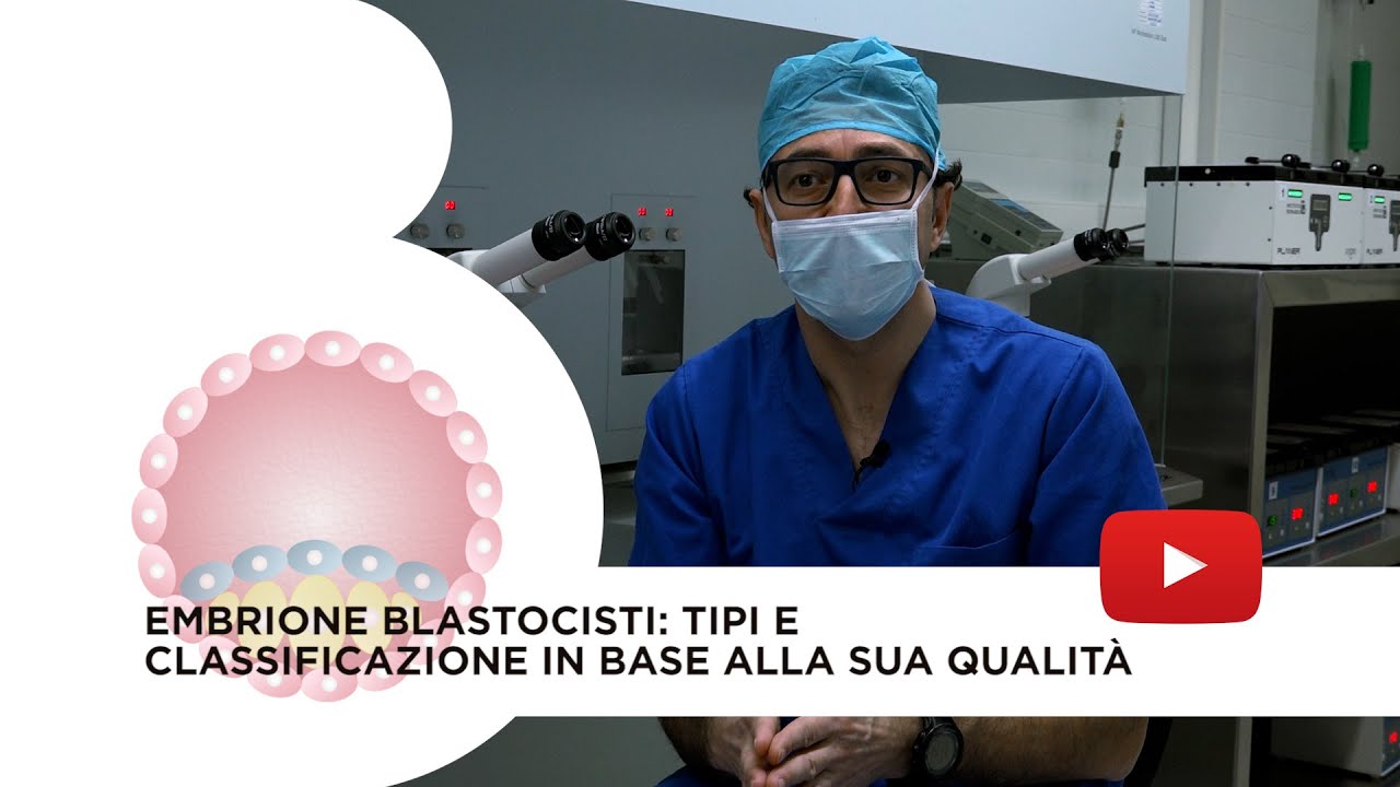 Embrione blastocisti: Cos’è, vantaggi, tipi e classificazione in base alla sua qualità