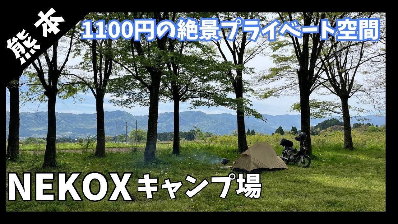 【阿蘇郡高森町】NEKOXキャンプ場の紹介！【ネコックスキャンプ場】