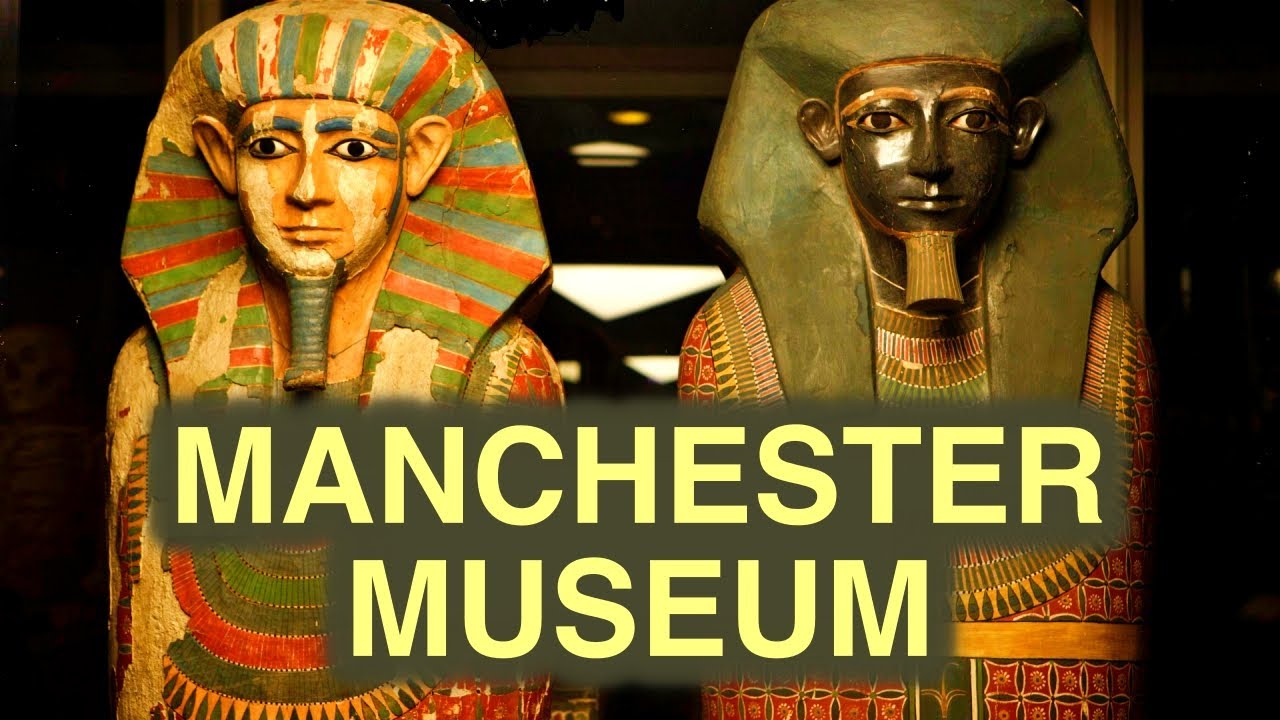 Ultimate 4K Tour of Manchester Museum: Discover Hidden Gems!