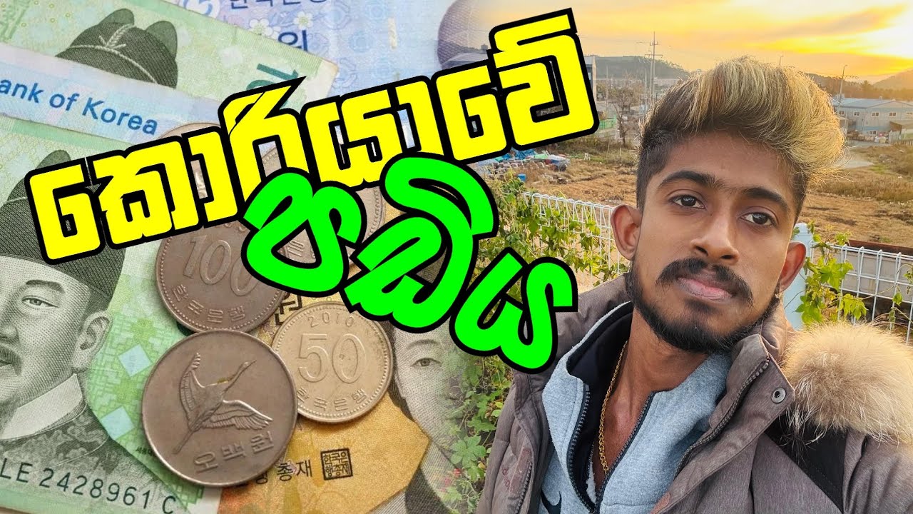 2025 කොරියාවේ  පඩිය ගැන සම්පූර්ණ විස්තරය 🤑💶🇰🇷 Full details about salaries in Korea🇰🇷💶🫡