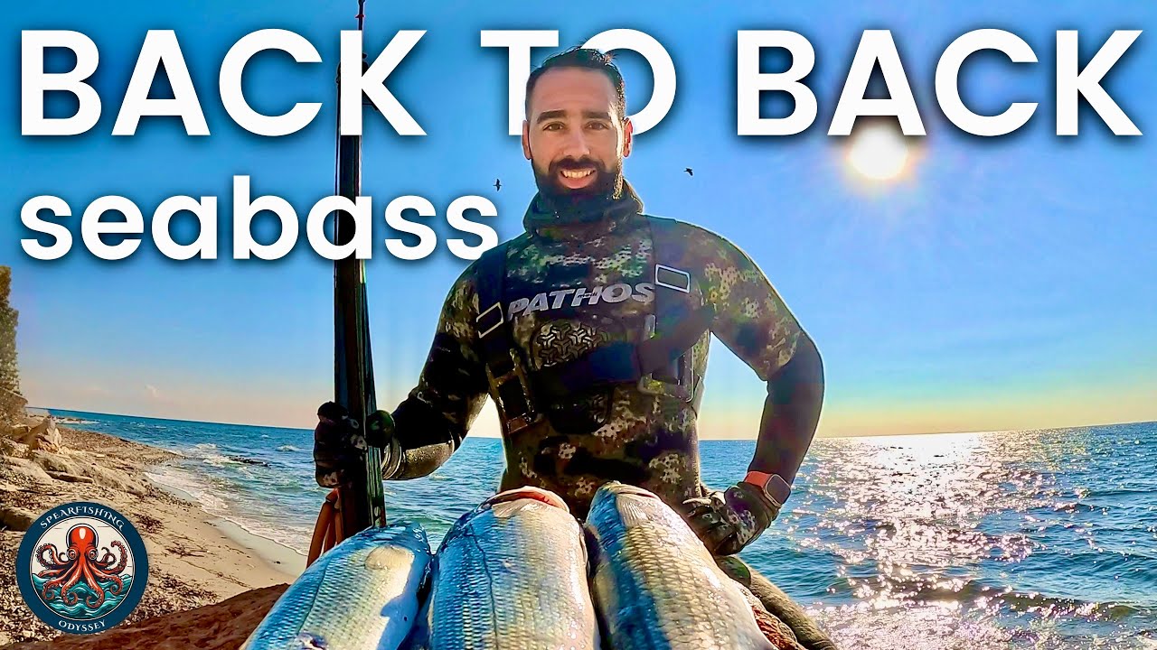 🤯 Two Seabass in 5 Minutes... This Rarely Ever Happens! | Spearfishing Catch & Cook 🔥