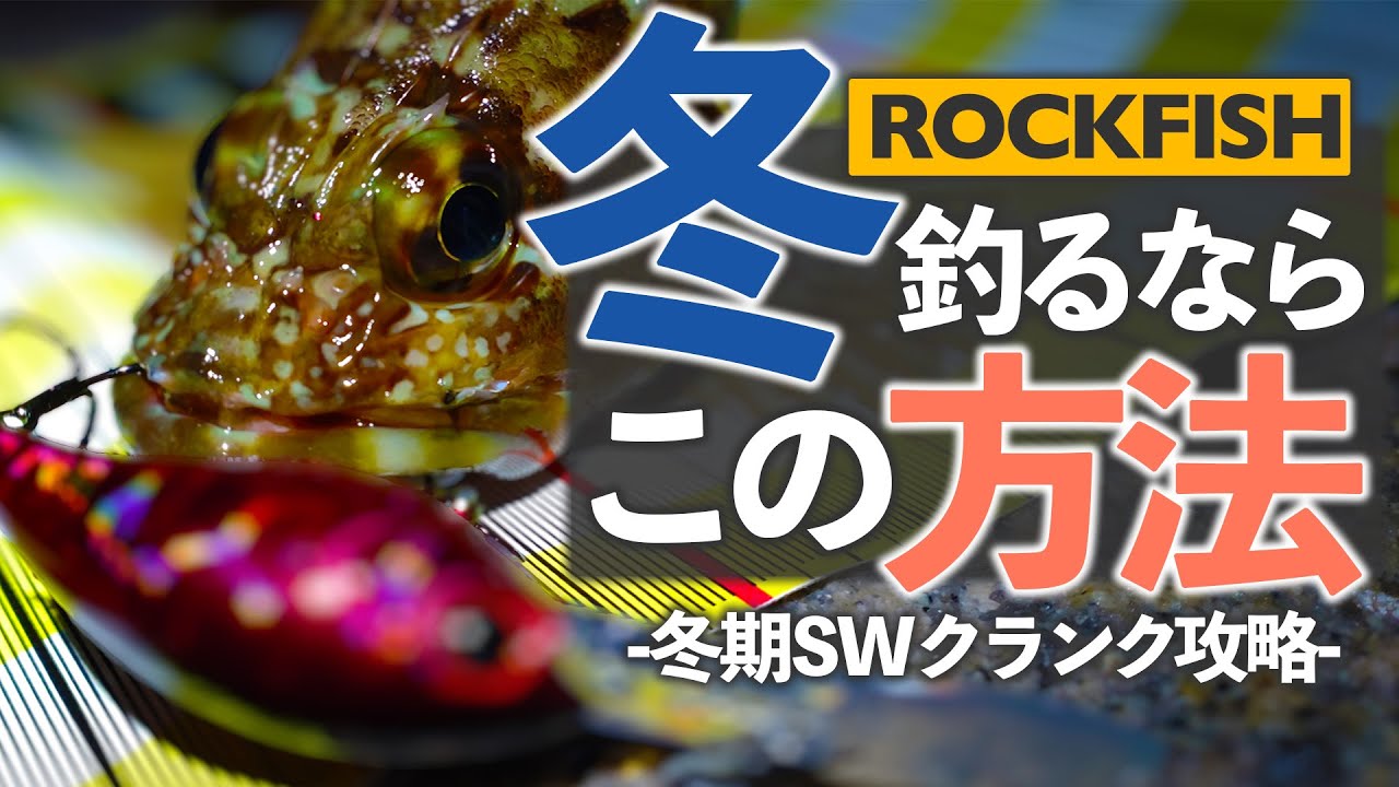 【ソルトクランク】冬でも巻いて釣るライトロックゲーム!!!