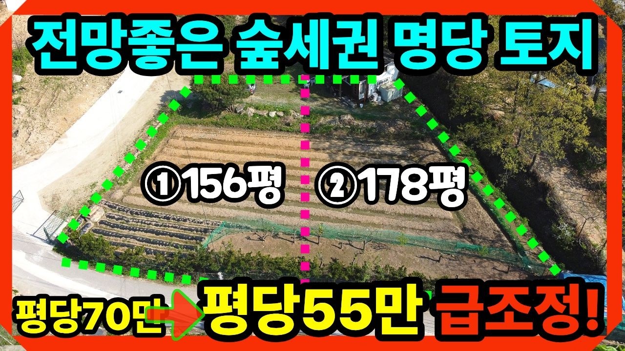 가격 급조정! 1억이하 소액토지, 숲으로 둘러싸인 아늑한 전망좋은 강화도토지, 명당강화전원주택지,강화도전원주택지,강화도땅,1억이하토지,강화도부동산,강화일번지TV (21156)