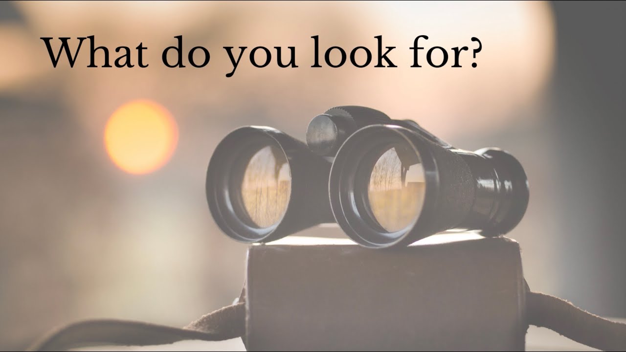 Investing in Real Estate -What do you look for?