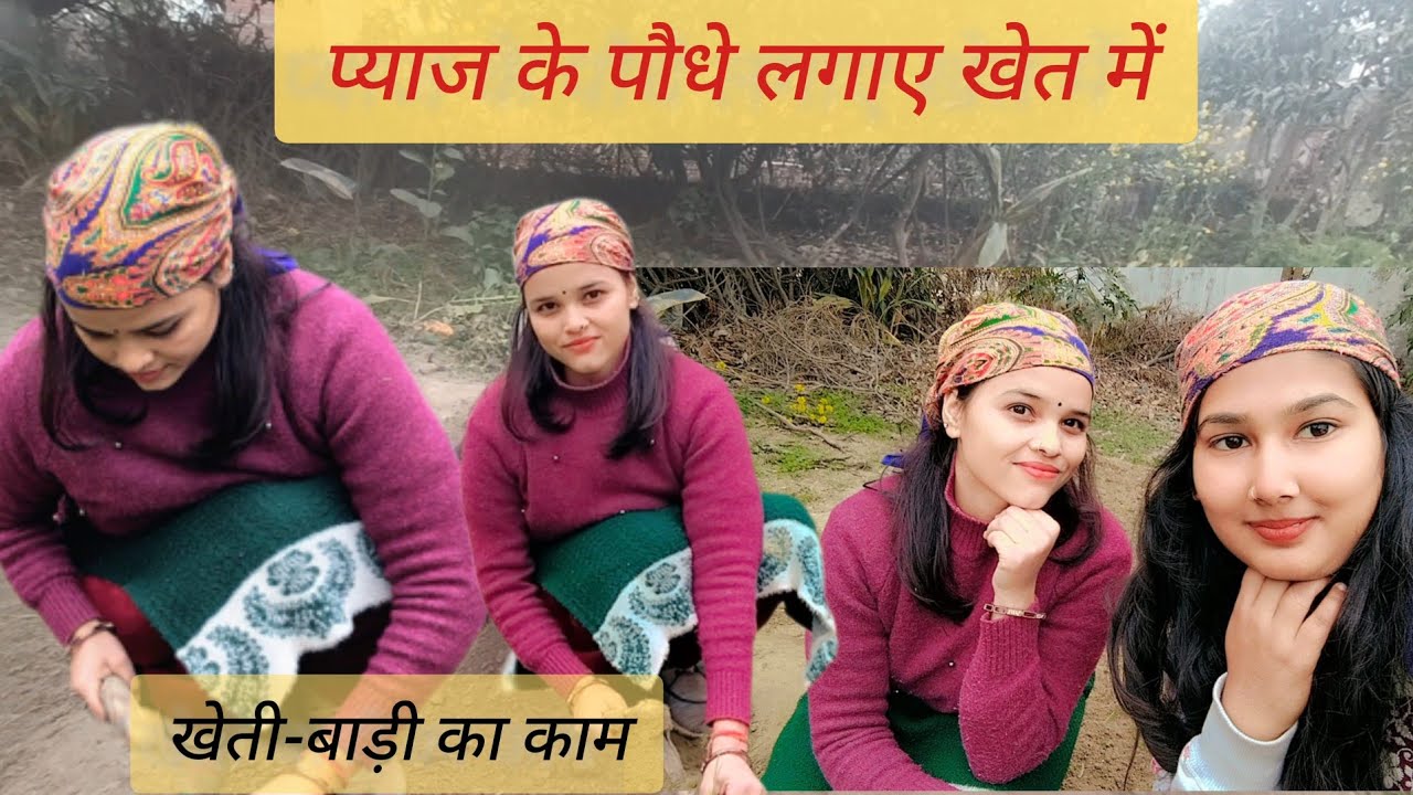 प्याज की खेती करने में कितनी मेहनत है।। खेती-बाड़ी का काम ।। Kaam k sath sath masti v jaruri hai 