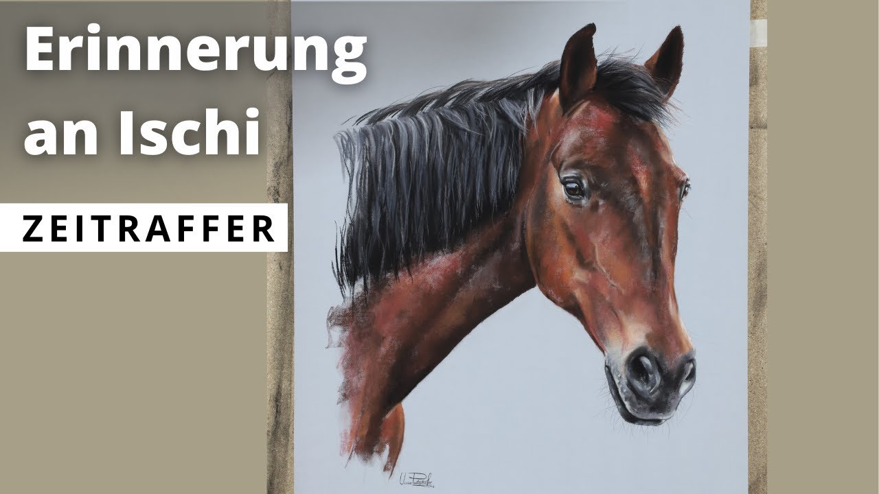 Pferdeportrait zeichnen lassen in Pastell / Pferd Ischi