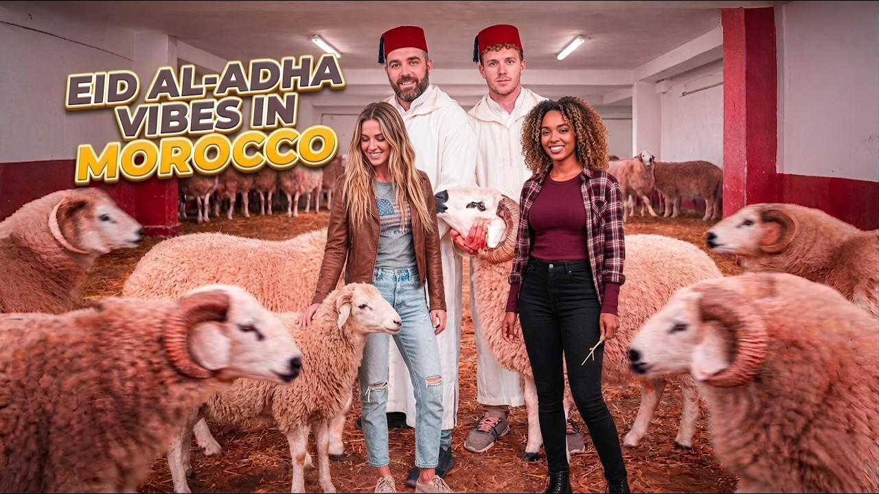 Morocco Eid al-Adha 2026 Sheep Prices : I went into the heart of Casablanca and didn't expect this!
