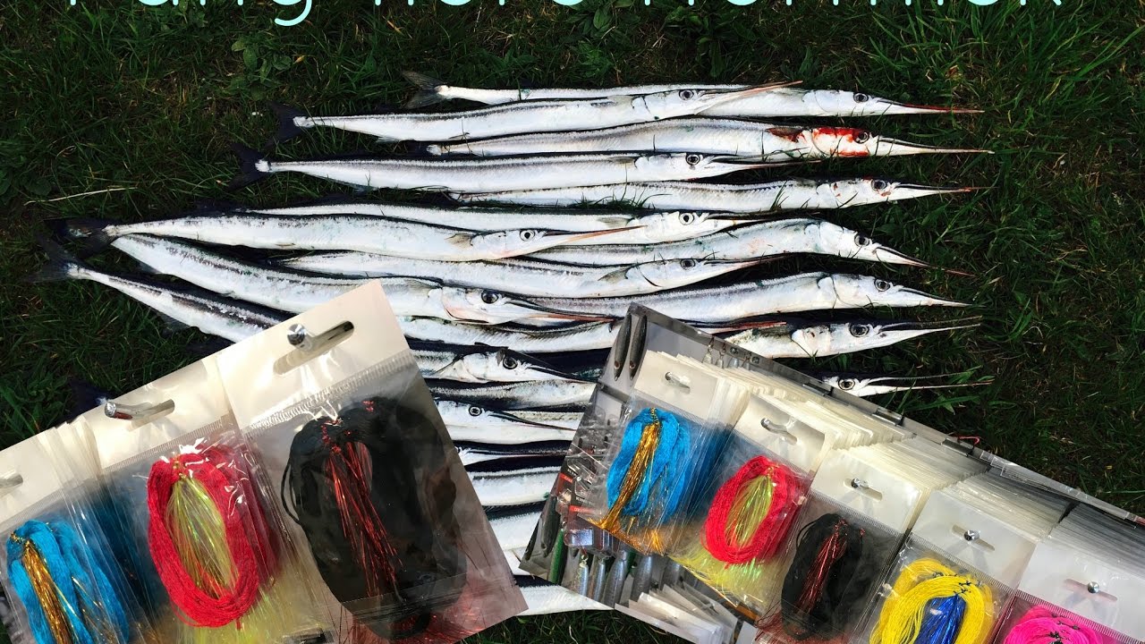 Fang flere Hornfisk med disse tips!