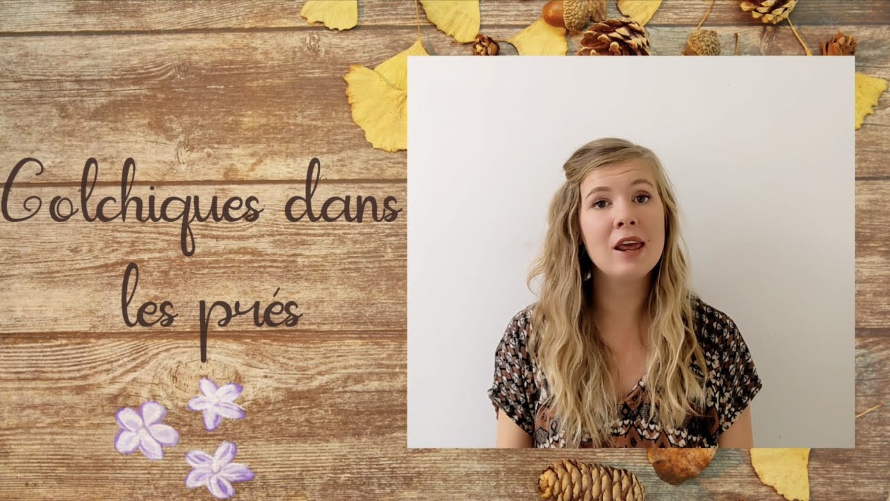Les comptines de Pauline - Colchiques dans les prés