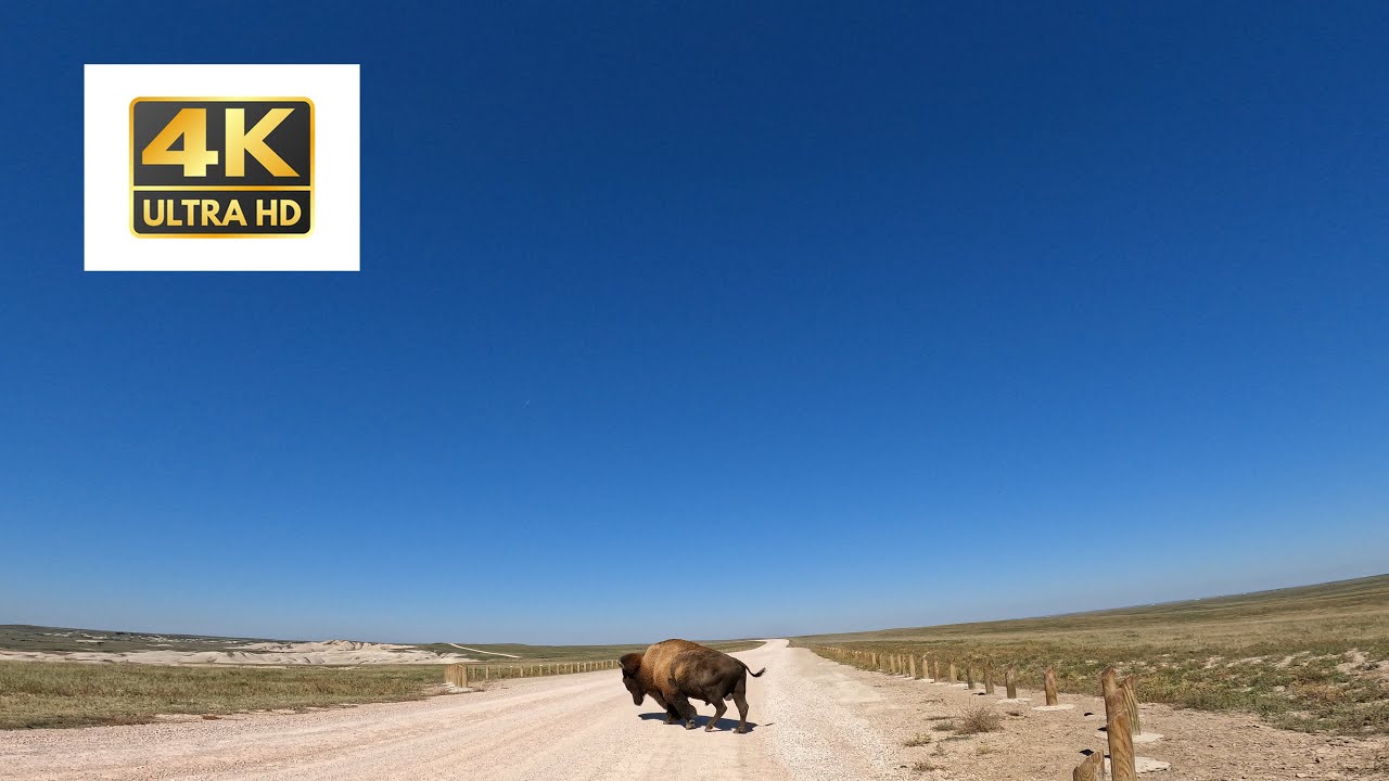 LES BADLANDS DE SAGECREEK RIM ALLER ET RETOUR  CEDAR PASS SOUTH DAKOTA SCENIC HIGHWAY 240