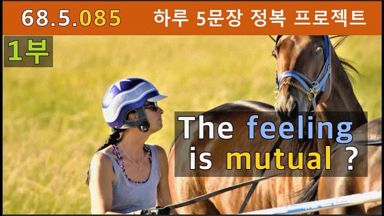 [하루5문장#085-1부] The feeling is mutual? 느낌이 상호적인?, 68.5.085