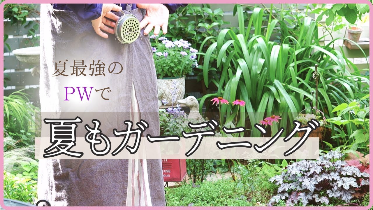 夏ガーデニングお休み中の方～是非観て下さい！夏のガーデニングを一緒に模索しませんか？