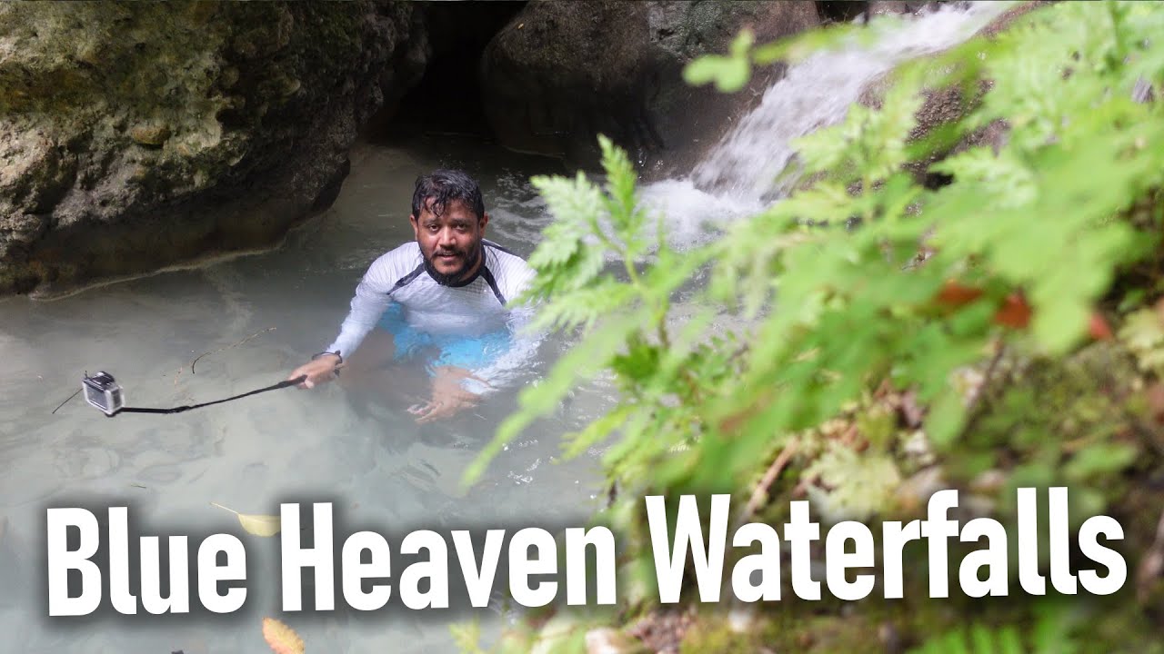 Hidden Paradise Found! Exploring Blue Heaven Waterfalls in Jamaica 🇯🇲