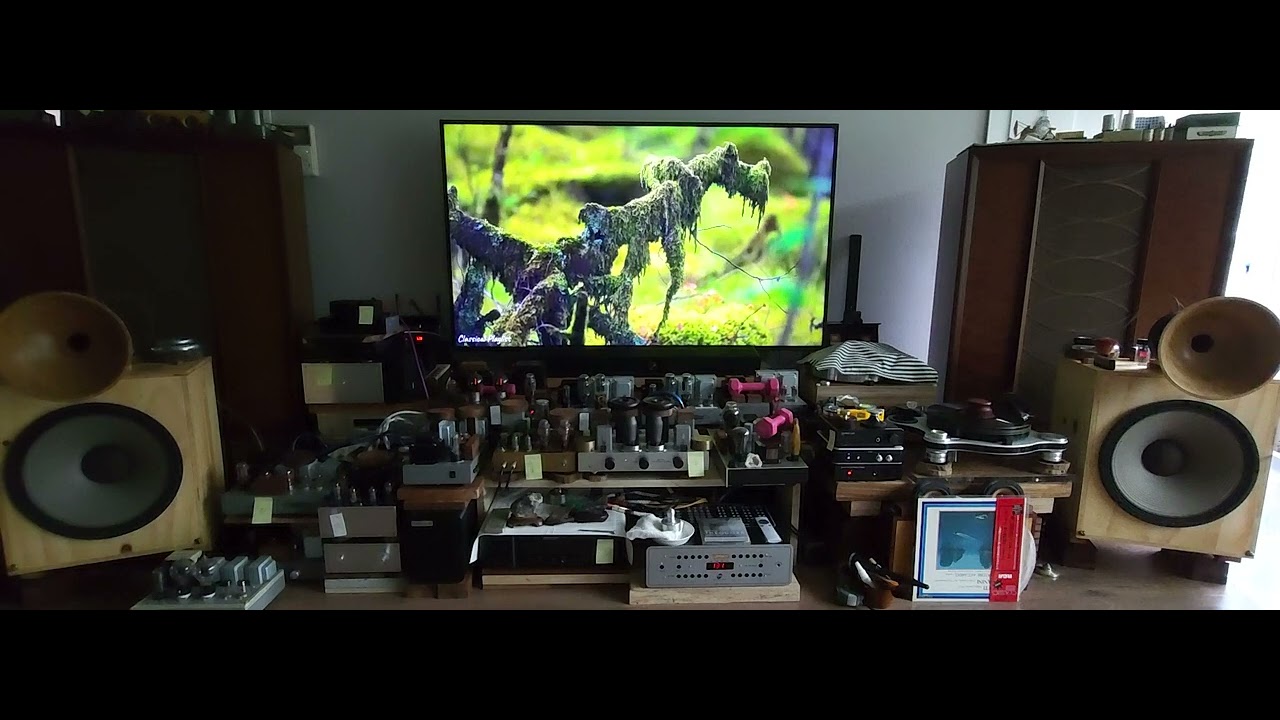 205D TUBE SINGLE AMP +DAVID PHONO AMP =JENSEN G610 스피커