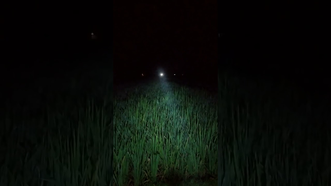 ভয়ানক বিপদ হলো। #hauntedbangladesh #ghost #horrorstories #scaryvideo  #paranormal