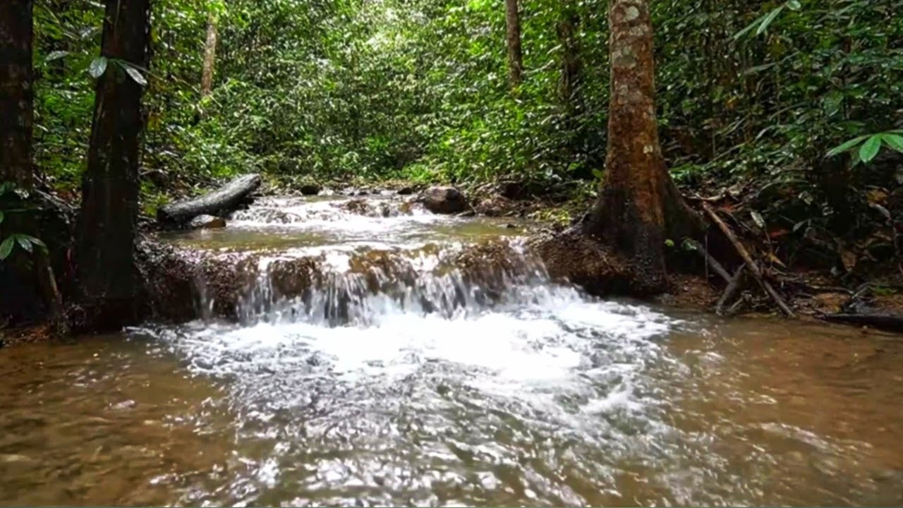 PEACEFUL RIVER FLOW ASMR | RELAXING WATER SOUNDS FOR BETTER SLEEP AND STUDY FOCUS