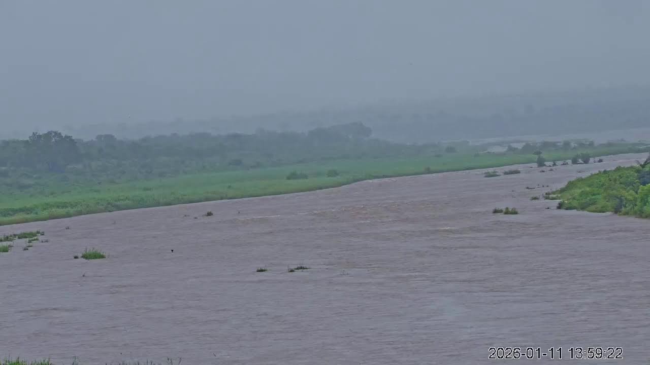 Buckler’s Africa Lodge: Live Stream from Iconic Property Overlooking the Crocodile River