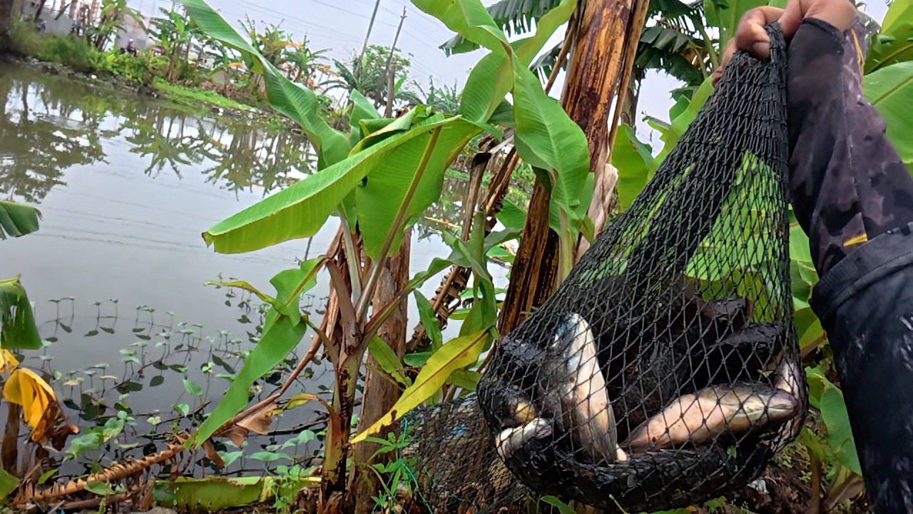 CUKUP SEBENTAR SAJA KALO MASER IKAN DISINI #paserikan #fishing
